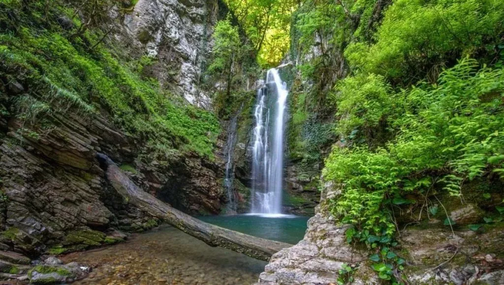 Сочинский национальный парк, Краснодарский край 